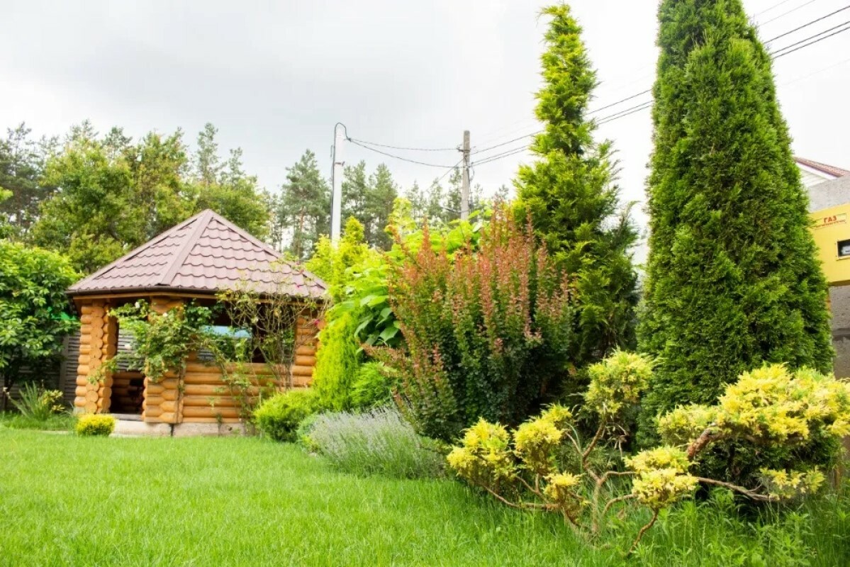 https://rybinsk.tgv-stroy.ru/storage/app/uploads/public/637/ef4/fb3/637ef4fb3605f391429275.png
